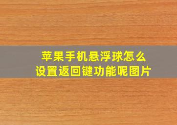 苹果手机悬浮球怎么设置返回键功能呢图片