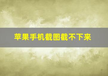 苹果手机截图截不下来