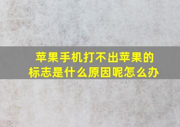 苹果手机打不出苹果的标志是什么原因呢怎么办