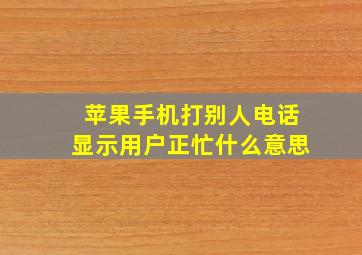 苹果手机打别人电话显示用户正忙什么意思