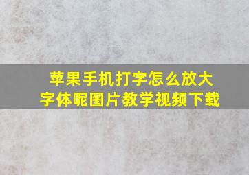 苹果手机打字怎么放大字体呢图片教学视频下载