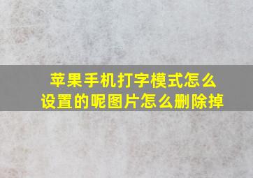 苹果手机打字模式怎么设置的呢图片怎么删除掉