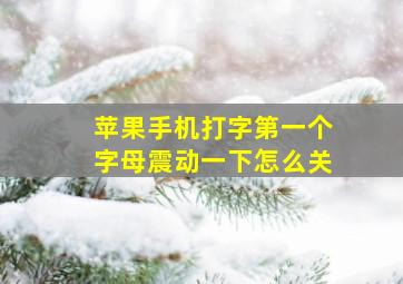 苹果手机打字第一个字母震动一下怎么关