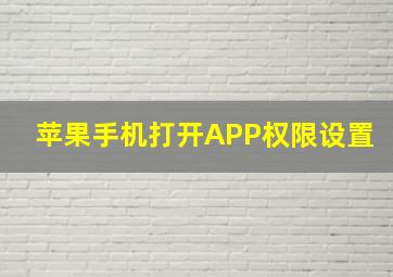 苹果手机打开APP权限设置