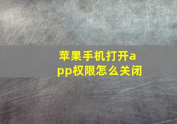 苹果手机打开app权限怎么关闭