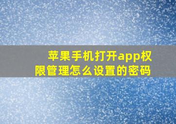 苹果手机打开app权限管理怎么设置的密码