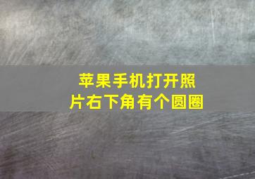 苹果手机打开照片右下角有个圆圈