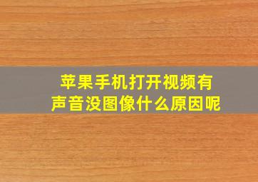 苹果手机打开视频有声音没图像什么原因呢