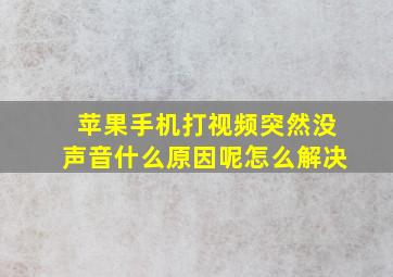 苹果手机打视频突然没声音什么原因呢怎么解决