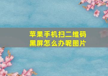 苹果手机扫二维码黑屏怎么办呢图片