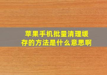 苹果手机批量清理缓存的方法是什么意思啊