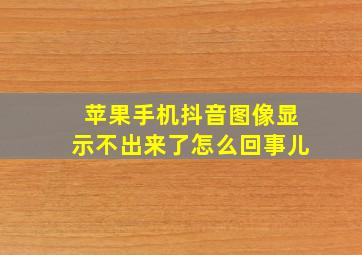 苹果手机抖音图像显示不出来了怎么回事儿