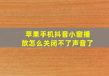 苹果手机抖音小窗播放怎么关闭不了声音了