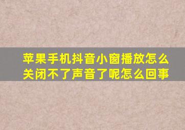 苹果手机抖音小窗播放怎么关闭不了声音了呢怎么回事