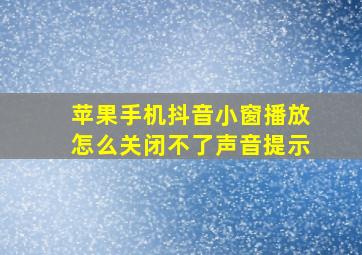 苹果手机抖音小窗播放怎么关闭不了声音提示