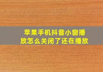 苹果手机抖音小窗播放怎么关闭了还在播放