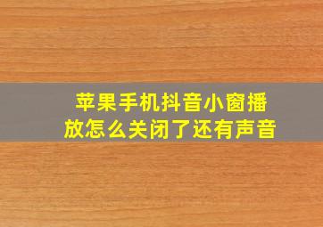 苹果手机抖音小窗播放怎么关闭了还有声音