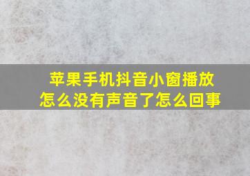 苹果手机抖音小窗播放怎么没有声音了怎么回事