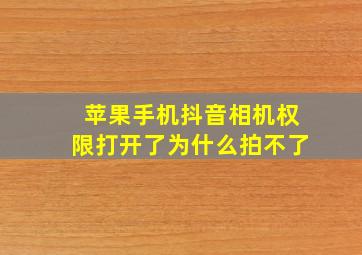 苹果手机抖音相机权限打开了为什么拍不了