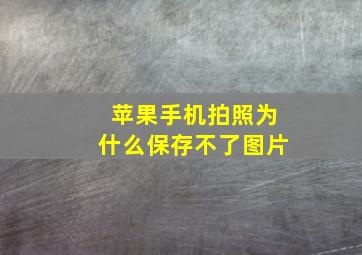 苹果手机拍照为什么保存不了图片