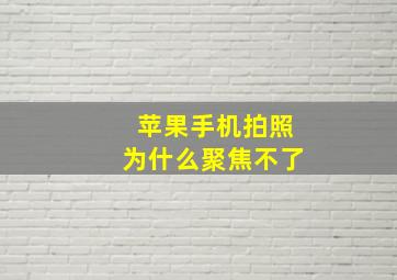 苹果手机拍照为什么聚焦不了