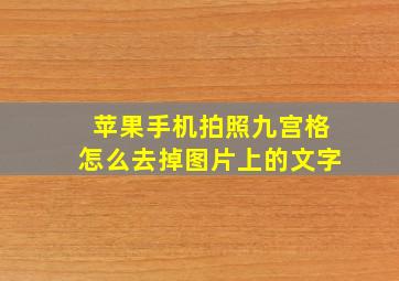 苹果手机拍照九宫格怎么去掉图片上的文字