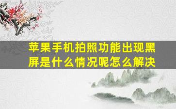 苹果手机拍照功能出现黑屏是什么情况呢怎么解决