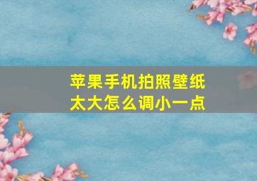 苹果手机拍照壁纸太大怎么调小一点