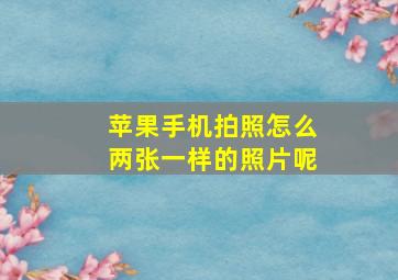 苹果手机拍照怎么两张一样的照片呢