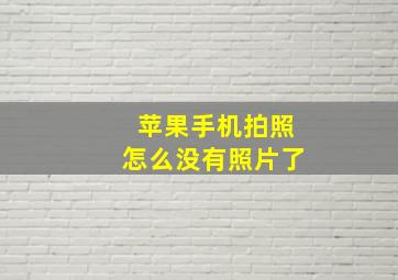 苹果手机拍照怎么没有照片了