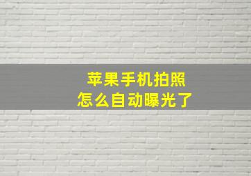 苹果手机拍照怎么自动曝光了