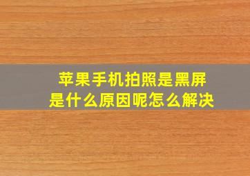 苹果手机拍照是黑屏是什么原因呢怎么解决