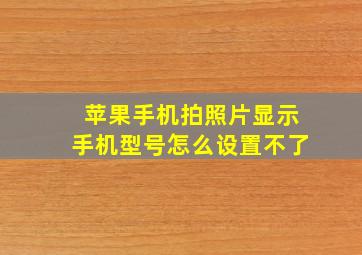 苹果手机拍照片显示手机型号怎么设置不了