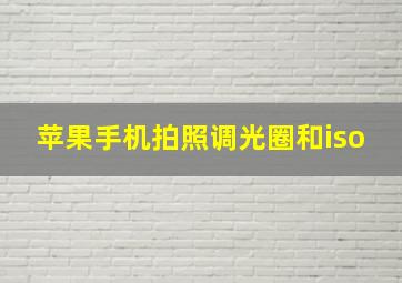 苹果手机拍照调光圈和iso