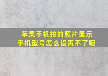 苹果手机拍的照片显示手机型号怎么设置不了呢