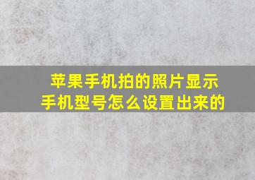 苹果手机拍的照片显示手机型号怎么设置出来的