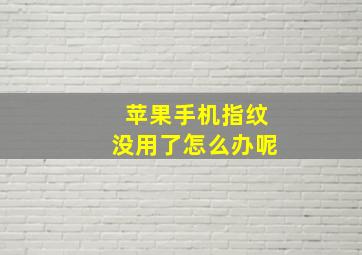 苹果手机指纹没用了怎么办呢