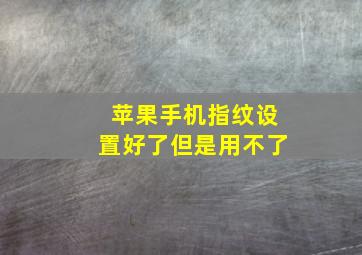 苹果手机指纹设置好了但是用不了