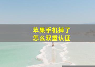 苹果手机掉了怎么双重认证