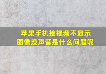 苹果手机接视频不显示图像没声音是什么问题呢