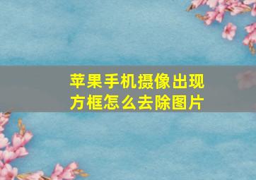 苹果手机摄像出现方框怎么去除图片