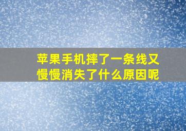 苹果手机摔了一条线又慢慢消失了什么原因呢