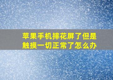 苹果手机摔花屏了但是触摸一切正常了怎么办