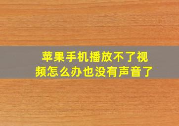 苹果手机播放不了视频怎么办也没有声音了