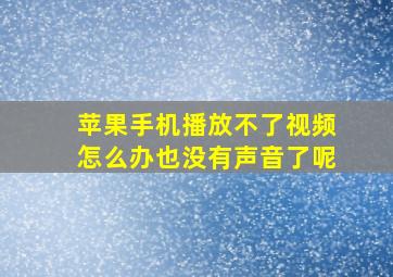 苹果手机播放不了视频怎么办也没有声音了呢