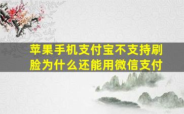 苹果手机支付宝不支持刷脸为什么还能用微信支付