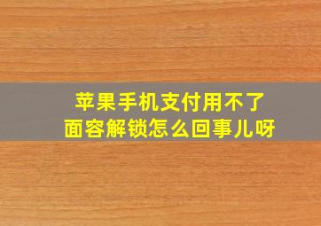 苹果手机支付用不了面容解锁怎么回事儿呀