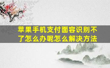 苹果手机支付面容识别不了怎么办呢怎么解决方法