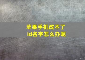 苹果手机改不了id名字怎么办呢