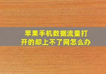 苹果手机数据流量打开的却上不了网怎么办